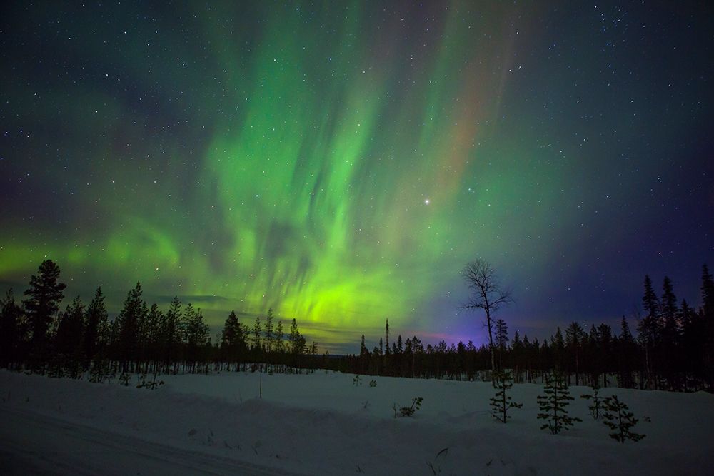 Abisko-Sweden. Chasing the Northern Lights (Aurora Borealis) in Swedish Lapland.